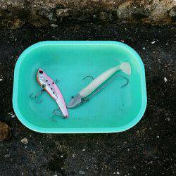 今朝はハネナブラ撃ち。図らずも3目ゲット。